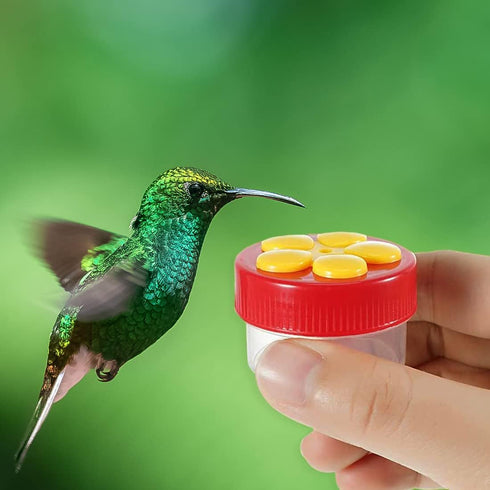Hand Hummingbird Feeder, 3 Pack Mini Flower Handheld Hummingbird Feeding Tools with Cleaning Brush, Window Humming Wild Bird Feeders for Backyard ...