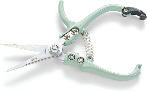 Modern Sprout Pruning Shears for Gardening, Herb Snips, Flower Cutting Scissors, Indoor Plant Shears, Lightweight, Ergonomic, Carbon Steel Blade, ...