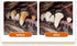 Dog Toys for Chewers Indestructible, Durable Dog Toys for Aggressive Interactive Dog Toys Squeaky Soft and Safe Teeth Cleaning Small Medium Dogs a...