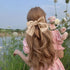 Ahoney 6 Pack Satin Hair Bow Hair Clips for Women Girls, 6" Bowknot Hair Ribbons for Hair Ponytail Cute Hair Clips Bow for Hair Accessories Barret...