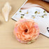 Womens Rose Flower Hair Clip Flower Brooch for Bridal Headpiece,Flamenco Dancer (Camellia 12Pcs)...