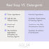 SoCal Suds & Company - 2-in-1 Organic Foaming Shampoo & Body Wash - Gentle Botanical Baby Wash and Shampoo for Sensitive Skin Bath - Nourishing So...
