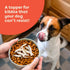 Pupford Freeze Dried Minnows for Dogs & Puppies - Healthy, Natural, Single Ingredient Dog Treats - Made in USA (1.5 oz)...