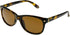 Foster Grant Sutton Polarized Sunglasses For Women, Brown Tortoise Shell Sunglasses...