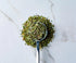 Savory Spice Marjoram - Dried Marjoram Leaves, Herb Seasoning | Use Marjoram to Season Beef, Lamb & Veal - Add to Soups & Stews, Make Marjoram Tea...
