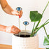 Tuitessine Resin Plant Eyes Stakes Set of 2, Eyeball Garden Plant Accessory, Evil Eye Plant Picks, Indoor Outdoor Plant Pot Decoration, Plant Love...