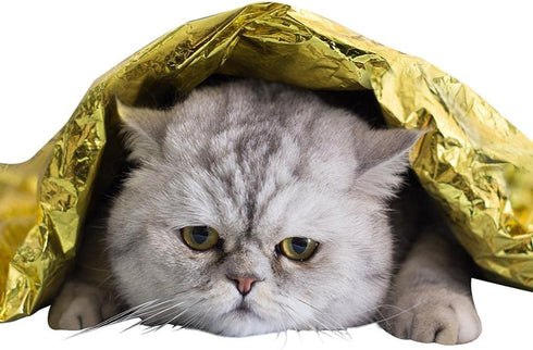 GALAXYLENSE Emergency Mylar Thermal Blanket for Survival First Aid Kits Army Outdoors Hiking Camping Bug Out Trauma Desert All Weather Condition P...