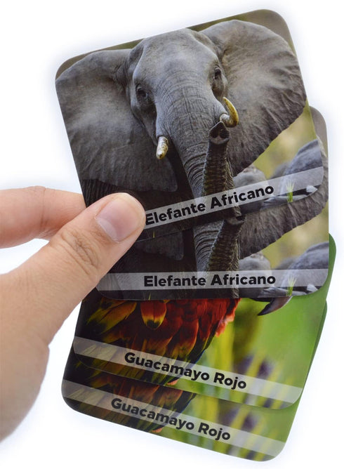 Menique, Juego de Memoria de Animales Salvajes en español. Wild animals Memory Matching game in Spanish....