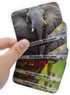 Menique, Juego de Memoria de Animales Salvajes en español. Wild animals Memory Matching game in Spanish....