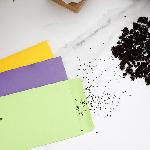 VANRA 150 PCS Coin Envelopes #1 Seed Envelopes Colorful Small Parts Envelope Tiny Cards Storage Packets with Gummed Flap for Mini Parts Stamps Col...