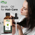 Birch (Betula) Oil | Pure & Natural Essential Oil for Skincare, Hair Care, Aroma & Diffusers- 30ml/1.01fl oz...