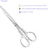 Acrylic & Stainless Steel 7" Scissors?Stylish and Functional Scissors for Office and Home Use-Silver...