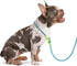 DaFuEn 6 FT Dog Slip Lead Dog Leash Dog Classic Training Leash Lightweight Durable Slip Leads for Dogs No-Pull Slip Leash and Collar Dog Leash for...