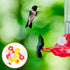 Sosoport Hummingbird Feeders Replacement Hummingbird Feeder Parts Flowers Hummingbird Feeder Replacement Parts Hanging Feeder Replacement Flower F...