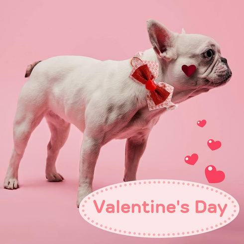 azuza Valentine's Day Dog Collar Removable Valentine Bowtie Dog Collar with Romantic Pink Sparkly Hearts Pattern Adjustable Spring Dog Collar Vale...