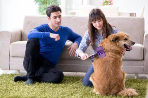 Self Cleaning Slicker Brush for Dogs Cats Brush for Shedding Grooming Brushes for Long Short Haired Pets (Purple)...