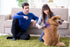Self Cleaning Slicker Brush for Dogs Cats Brush for Shedding Grooming Brushes for Long Short Haired Pets (Purple)...