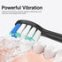 Replacement Toothbrush Heads for Philips Sonicare Replacement Heads, Brush Head Compatible with Phillips Sonicare Electric Toothbrushes C2, for Ph...