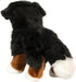 Douglas Stevie Bernese Mountain Dog Plush Stuffed Animal...