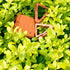 12Pcs Potted Plant Stand,Invisible Flower Pot Risers,Plastic Pot Feet Triangle Flower Planter,for Indoor And Outdoor Plant Pots...