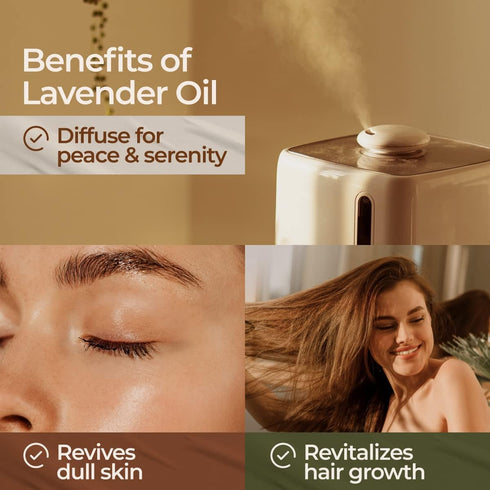 Gya Labs Vanilla & Lavender Oils (2 x 0.34 fl oz)...