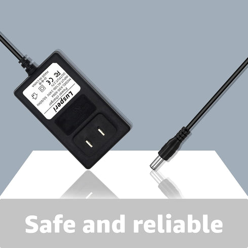 Replacement for Prettycare W100 W200 W300 22.2V 180W Power Adapter Compatible with ORFELD H01 CX11 V20 EV679 H20A EV660 RB666 RB680 EV696P Cordles...