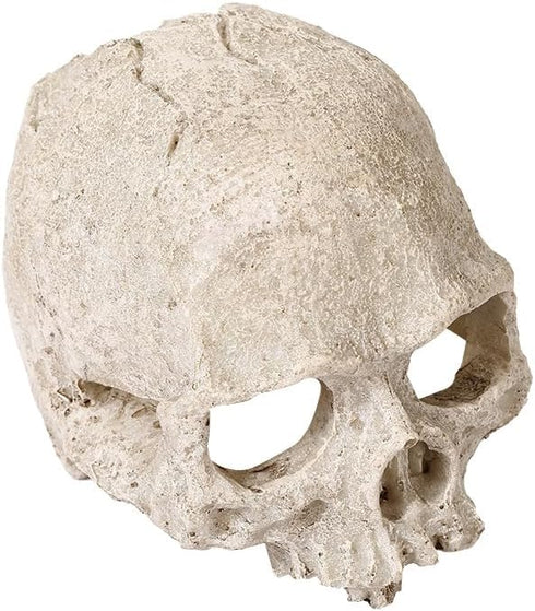 Halloween Aquarium Landscape Skull Aquarium Skull Artificial Skeleton Decoration for Home Décor Aquarium Fish Tank Landscape Collectible Teaching ...