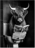Black and White Animal Farmhouse Wall Art Highland Cow Reading Newspaper on Toilet Bowl Canvas Print Fun Art Poster for Wall Bathroom Canvas Paint...