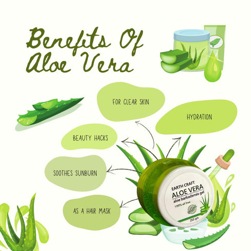 EART CRAFT Pure Aloe Vera Gel for Skin, Scalp, & Hair, Soothing Aloe Face Moisturizer, Multipurpose, Hydrating Aloe Gel, 250 grams (8.81 fl. oz.)...