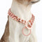 Dog Chain Collar High Rose Gold Polished 12MM Stainless Steel Cuban Link Strong Heavy Duty Chew Proof Walking Chain Leash Collar for Small Medium ...