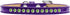 Dog, Puppy and Pet Ice Cream Collar, Lime Green Crystal Rimsets Purple 16...