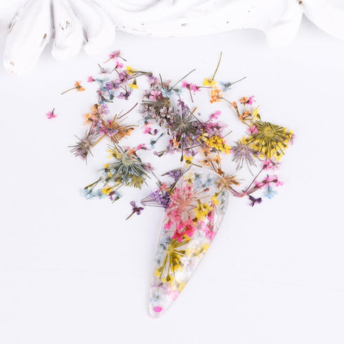 3D Dried Flower for Nails, Flower Nail Art Stickers 1Box Mixed Dried Flowers for Nail Art Resin DIY Crafts Natural Real Dry Flower Decals for Spri...