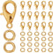 800Pcs Lobster Clasp and Jump Rings Small Lobster Claw Clasps Alloy Golden Lobsters Fastener Hooks Swivel Clips Bulk Findings for Jewelry Making D...