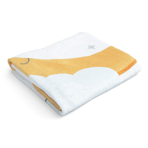 Delta Children Milestone Baby Blanket – Monthly Blanket for Pictures – Photo Blanket for Newborns, Moon...