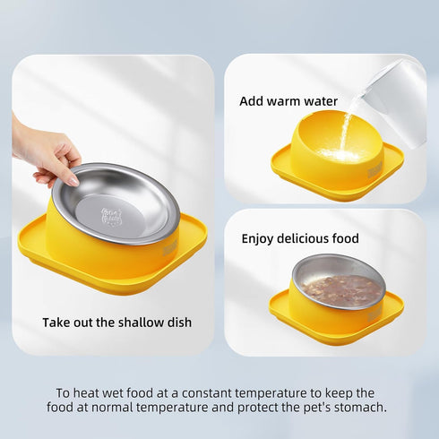 Tilted Cat Food Bowls, Cat Feeding Bowls Whisker Friendly, Raised Cat Bowls for Indoor Cats, Slanted Flat Plastic Feeder Elevated Angled Design, 3...