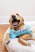 Huxley & Kent for Dogs | Peace, Love, Belly Rubs Bone | Holiday Christmas Power Plush Dog Toy with Squeaker | Funny Dog Gift | Fun, Durable, and S...