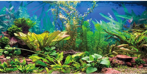 AWERT 72x24 inches Aquarium Background Aquatic Plant River Bed & Lake Fish Tank Background Vinyl...