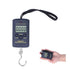 Portable Electronic Scale Mini 40kg-10g Weighting Steelyard with Hanging Hook WH?A01L...