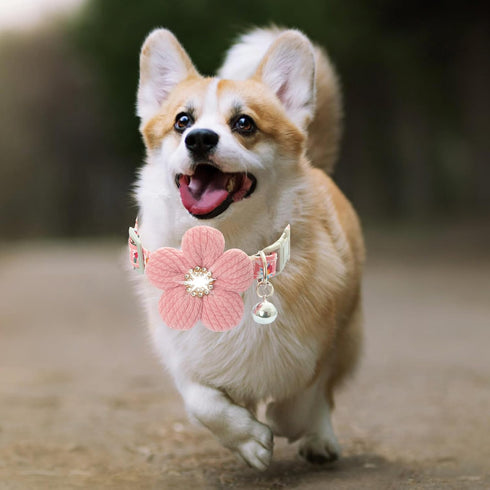 Small Dog Collar with Flower, Puppy Collar for Girl Dog Collars for Small Dogs Cute Dog Collar with Bell, Adjustable Length (Pink)...