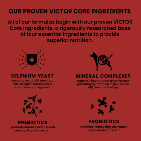 Victor Super Premium Dog Food – Classic Crunchy Dog Treats with Lamb Meal – Gluten-Free Treats for Small, Medium and Large Breed Dogs, 14oz...