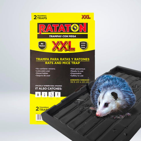 Glue trap for rats and mice, for extra large animals, without poison, non-toxic, you can release the animal just apply cooking oil. Easy to use in...