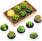 Swpeet 12Pcs Decorative Succulent Cactus Tealight Candles Kit, Cute Smokeless Succulent Plants Perfect for Candles Festival Wedding Props and Hous...