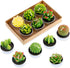Swpeet 12Pcs Decorative Succulent Cactus Tealight Candles Kit, Cute Smokeless Succulent Plants Perfect for Candles Festival Wedding Props and Hous...
