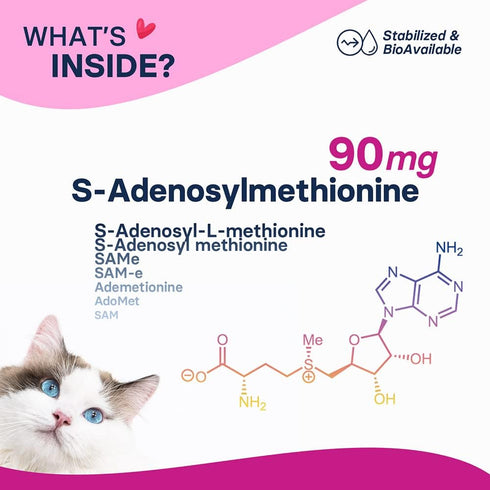 SAM-e Liver and Brain Health Supplement for Small Dogs and Cats - with S-aDENOSYLmethionine (Same), 60 Coated Tablets...