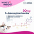 SAM-e Liver and Brain Health Supplement for Small Dogs and Cats - with S-aDENOSYLmethionine (Same), 60 Coated Tablets...