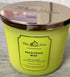 Bath & Body Works White Barn 3-Wick Candle in Eucalyptus Mint...
