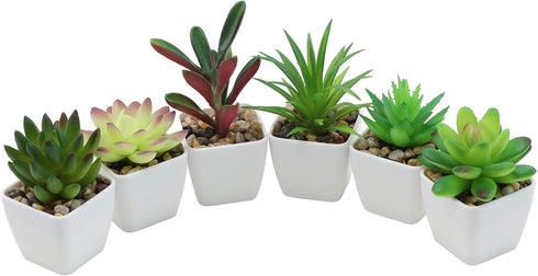 Nubry Mini Fake Succulent Plants Artificial Plastic Succulents Potted Faux Assorted Plants for Home Office Table Decoration, Set of 6 (White Plast...