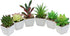 Nubry Mini Fake Succulent Plants Artificial Plastic Succulents Potted Faux Assorted Plants for Home Office Table Decoration, Set of 6 (White Plast...