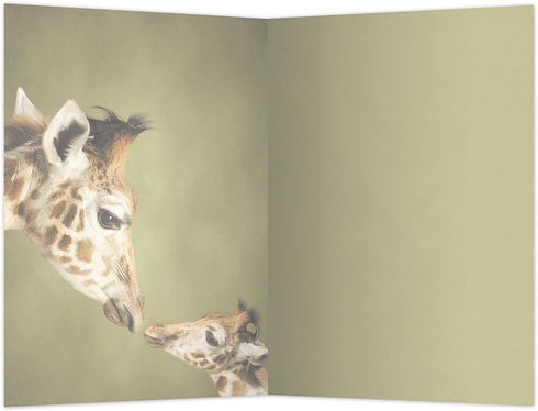 Tree-Free Greetings EcoNotes 12 Count Parent and Child Giraffe All Occasion Notecard Set with Envelopes, 4 x 6 Inches (FS66812)...