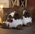 TOMWISH Pack of 2 Throw Pillow Covers Christmas Cowhide Printing Western 18x18 Pillow Cover,Decorative Throw Pillows Cushion Covers for Home Livin...